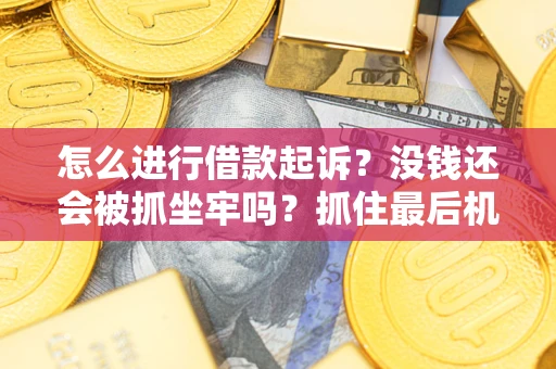 北京怎么进行借款起诉？没钱还会被抓坐牢吗？抓住最后机会！