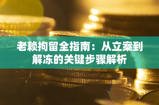 北京老赖拘留全指南：从立案到解冻的关键步骤解析