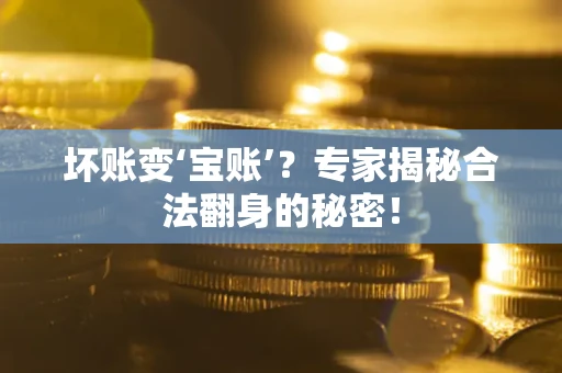 北京坏账变‘宝账’？专家揭秘合法翻身的秘密！