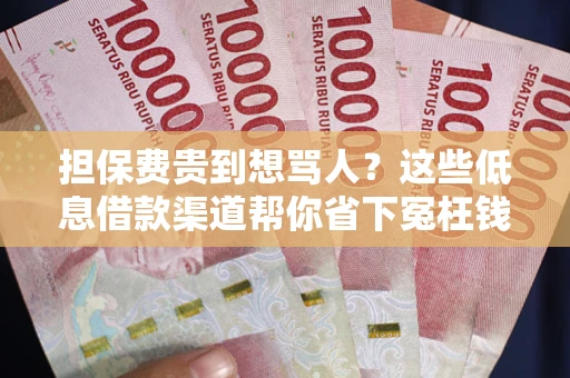 北京担保费贵到想骂人？这些低息借款渠道帮你省下冤枉钱