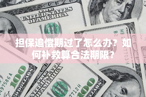 北京担保追偿期过了怎么办？如何补救算合法期限？