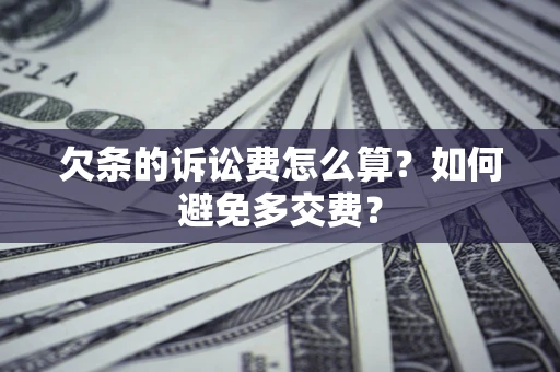 北京欠条的诉讼费怎么算？如何避免多交费？