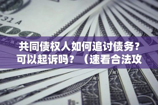 北京共同债权人如何追讨债务？可以起诉吗？（速看合法攻略）