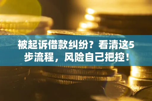 北京被起诉借款纠纷？看清这5步流程，风险自己把控！
