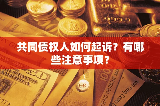 北京共同债权人如何起诉？有哪些注意事项？